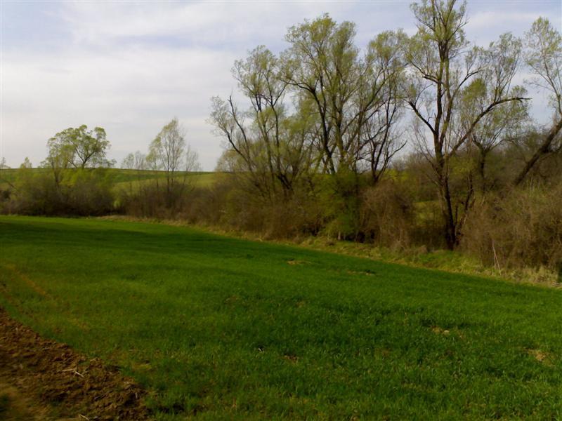 200704091780 .jpg